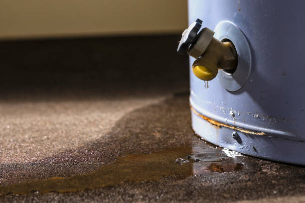 Best Water damage restoration experts  in New Lisbon, WI