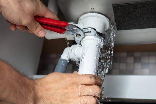 Best Flooded house restoration  in New Lisbon, WI