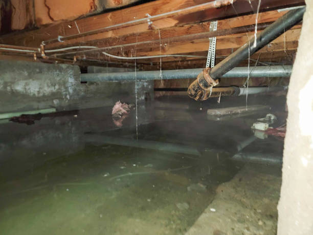 Best 24-hour water damage restoration  in New Lisbon, WI