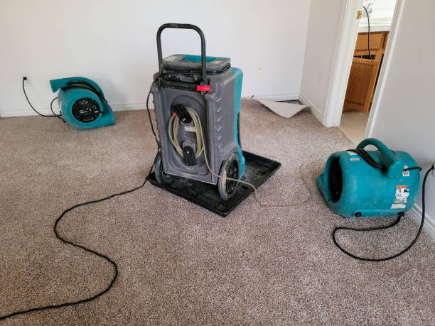 Water damage restoration experts in WI