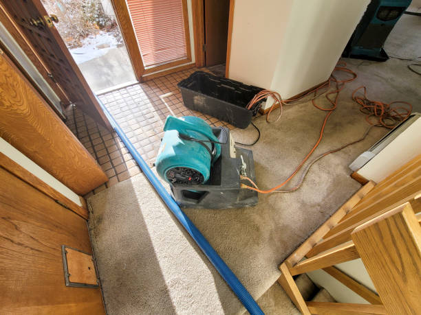 Best Emergency water extraction  in New Lisbon, WI