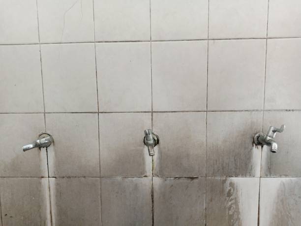 Best Fire Damage Restoration  in New Lisbon, WI