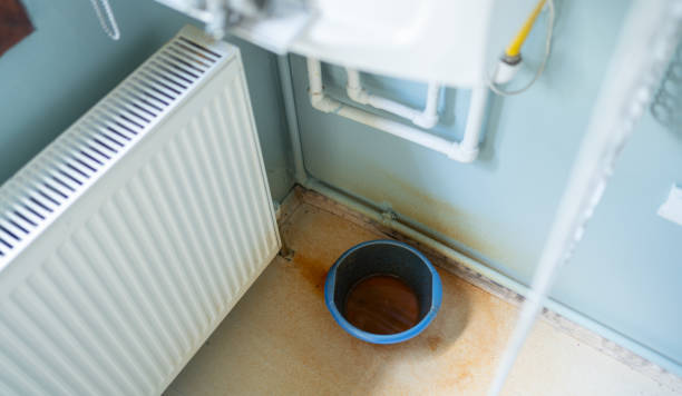 Best Flood restoration services  in New Lisbon, WI