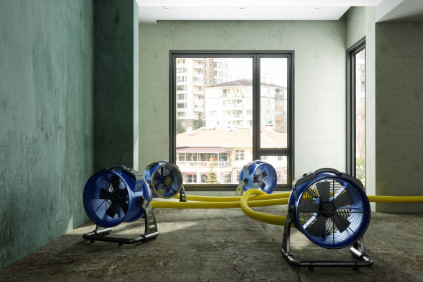 Best Water damage restoration near me  in New Lisbon, WI